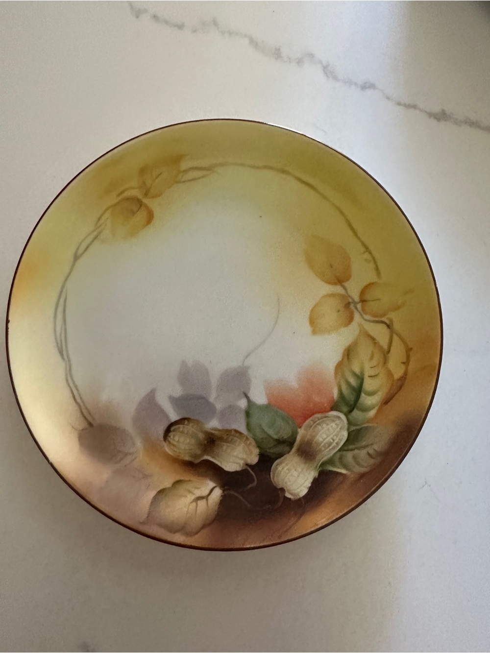 Vintage Noritake Hand-Painted Peanut Cabinet Plate – Made in Japan 🍂🥜